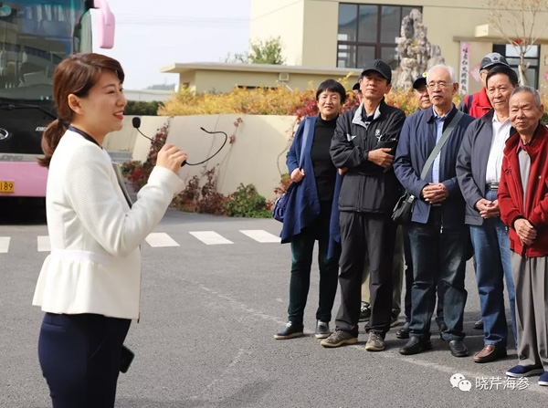 海參,曉芹海參,大連海參.jpg